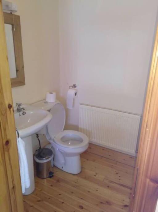 Townhouse 2 Barrow Lane Carlow Exterior foto
