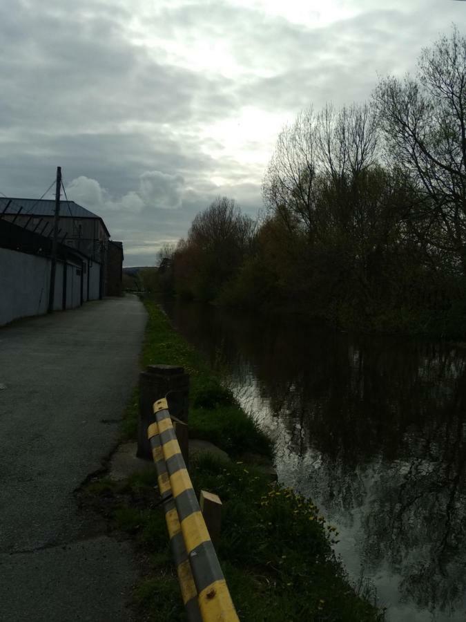 Townhouse 2 Barrow Lane Carlow Exterior foto
